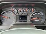 2025 Chevrolet Silverado 1500 Double Cab RWD Pickup for sale #C25196D - photo 9