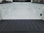 2025 Chevrolet Silverado 1500 Double Cab RWD Pickup for sale #C25196D - photo 27
