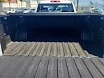 2026 Chevrolet Silverado 1500 Regular Cab 4WD Pickup for sale #C26124W - photo 17