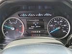 2020 Ford F-250 Crew Cab 4x4 Pickup for sale #227118OX - photo 10