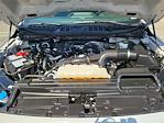 2023 Ford F-150 SuperCrew Cab RWD Pickup for sale #227134B - photo 32