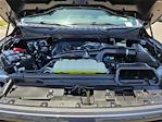 2024 Ford F-150 SuperCrew Cab 4x2 Pickup for sale #227228D - photo 31