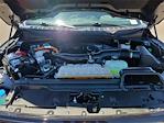 2024 Ford F-150 SuperCrew Cab 4x4 Pickup for sale #227295XC - photo 31