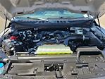 2025 Ford F-150 SuperCrew Cab 4x2 Pickup for sale #227342D - photo 31