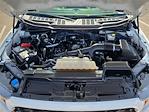 2023 Ford F-150 SuperCrew Cab RWD Pickup for sale #227381 - photo 7