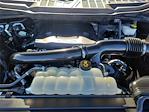 2023 Ford F-150 SuperCrew Cab RWD Pickup for sale #227472X - photo 30