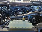 2025 Ford F-150 SuperCrew Cab RWD Pickup for sale #227502D - photo 30