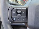 2024 Ford F-250 Crew Cab 4x2 Scelzi Service Truck for sale #F24906W - photo 10