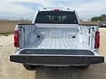 2025 Ford F-150 SuperCrew Cab 4x4 Pickup for sale #F25244 - photo 17