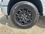 2025 Ford F-150 SuperCrew Cab 4x4 Pickup for sale #F25261 - photo 20
