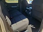 2025 Ford F-150 SuperCrew Cab 4x4 Pickup for sale #F25361 - photo 18