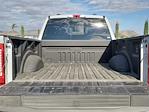 2025 Ford F-350 Crew Cab SRW 4WD Pickup for sale #F25367 - photo 20