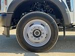 2025 Ford F-450 Crew Cab DRW 4x4 Cab Chassis for sale #F25369W - photo 26