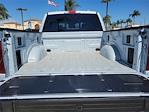 New 2025 Ford F-150 XLT SuperCrew Cab 4WD Pickup for sale #F25444 - photo 20