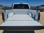 2025 Ford F-150 SuperCrew Cab 4x4 Pickup for sale #F25445 - photo 18