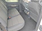 New 2025 Ford F-150 STX SuperCrew Cab 4WD Pickup for sale #F25511 - photo 18