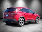 New 2025 Ford Escape ST-Line SUV for sale #F25685 - photo 2