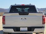 2025 Ford F-150 SuperCrew Cab RWD Pickup for sale #F25710 - photo 19