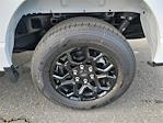 2025 Ford F-150 SuperCrew Cab RWD Pickup for sale #F25991 - photo 23