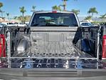 2026 Ford F-150 Regular Cab 4WD Pickup for sale #F26072S - photo 20