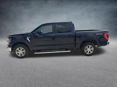 Used 2023 Ford F-150 - photo 1