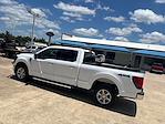 2024 Ford F-150 SuperCrew Cab 4x4 Pickup for sale #D40391T - photo 2