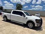 2024 Ford F-150 SuperCrew Cab 4x4 Pickup for sale #D40391T - photo 7