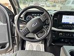 2023 Ford F-150 SuperCrew Cab 4x2 Pickup for sale #D75511P - photo 14
