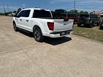 2024 Ford F-150 SuperCrew Cab 4x2 Pickup for sale #E42938T - photo 25