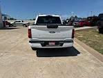 2024 Ford F-150 SuperCrew Cab 4x2 Pickup for sale #E42938T - photo 26