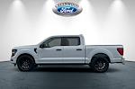 2025 Ford F-150 SuperCrew Cab STX RWD Pickup for sale #12246 - photo 7