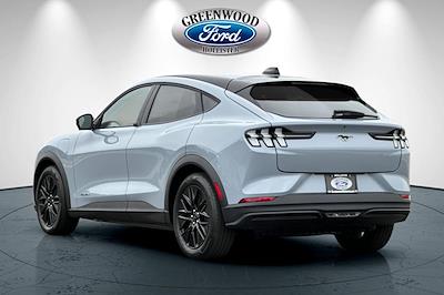 New 2025 Ford Mustang Mach-E - photo 1