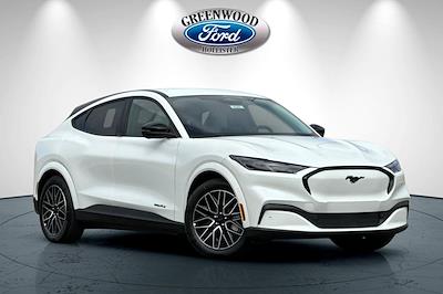 2025 Ford Mustang Mach-E Premium RWD SUV for sale #30287 - photo 1