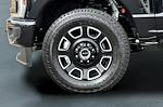 2025 Ford F-350 Crew Cab Platinum SRW 4x4 Pickup for sale #30291 - photo 28
