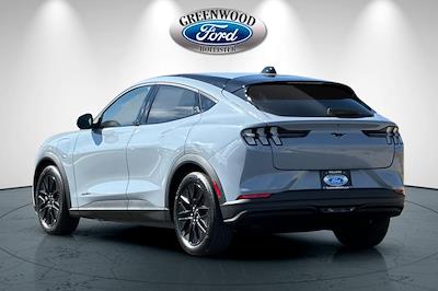 New 2025 Ford Mustang Mach-E - photo 1