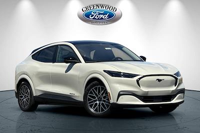 2025 Ford Mustang Mach-E Premium RWD SUV for sale #30326 - photo 1