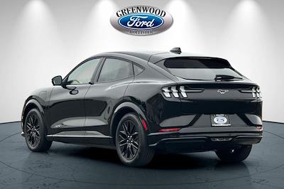 New 2025 Ford Mustang Mach-E - photo 1