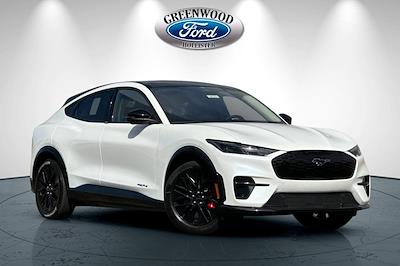 2025 Ford Mustang Mach-E Premium RWD SUV for sale #30333 - photo 1