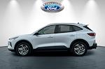 New 2025 Ford Escape ST-Line SUV for sale #30349 - photo 7