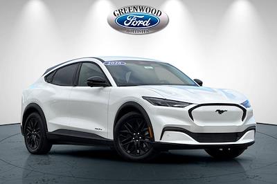 New 2026 Ford Mustang Mach-E - photo 1