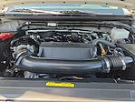 2025 Nissan Frontier King Cab 4x4 Pickup for sale #V55074 - photo 30