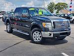 2010 Ford F-150 SuperCrew Cab 4WD Pickup for sale #BE319A - photo 2