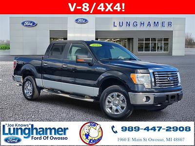 2010 Ford F-150 SuperCrew Cab 4WD Pickup for sale #F21252C - photo 1