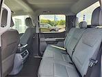 2024 Ford F-150 SuperCrew Cab 4WD Pickup for sale #F21258 - photo 25