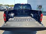 2023 Ford F-150 SuperCrew Cab 4WD Pickup for sale #F21302 - photo 27