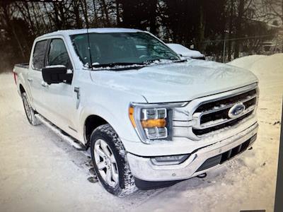 Used 2023 Ford F-150 - photo 1