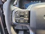 2025 Ford F-150 SuperCrew Cab 4WD Pickup for sale #F3659 - photo 11