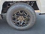 2025 Ford F-150 SuperCrew Cab 4WD Pickup for sale #F3685 - photo 27