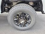2026 Ford F-250 Regular Cab 4WD Pickup for sale #F3747 - photo 23