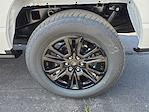 2025 Ford F-150 SuperCrew Cab 4WD Pickup for sale #F3779 - photo 31
